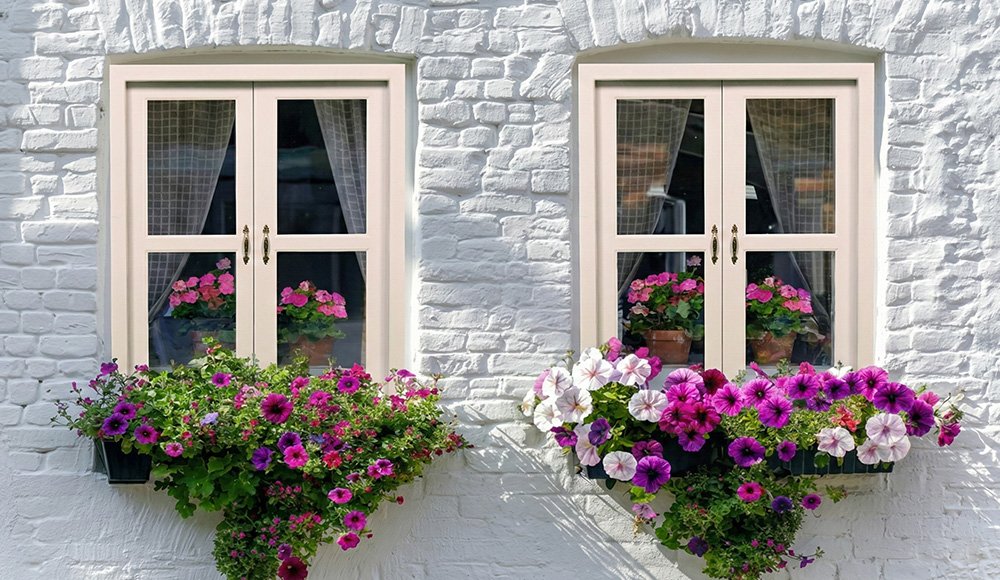 WINDOW 2 optn 1