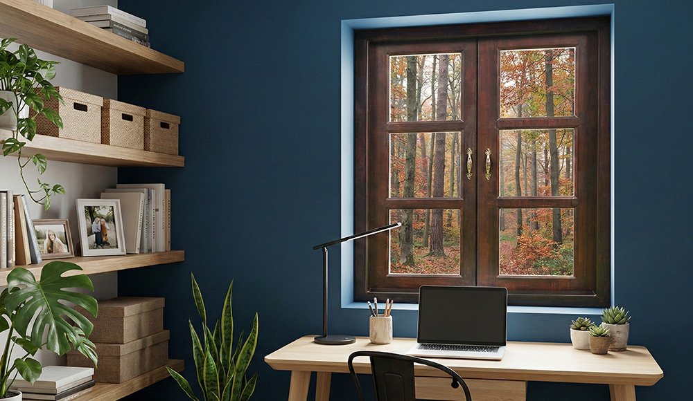 WINDOW 4 optn 2